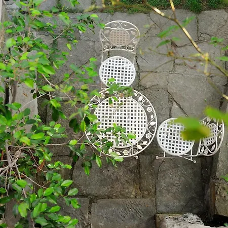 Hiša za goste Traditional Istrian Stone House Smarje (Koper)