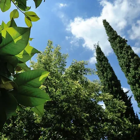 Traditional Istrian Stone House Gæstehus 3*