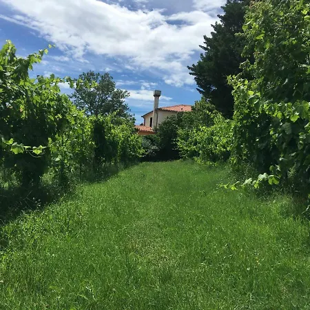 Traditional Istrian Stone House Hiša za goste