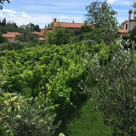 בית הארחה Traditional Istrian Stone House