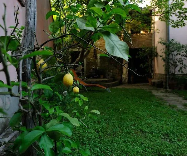 Traditional Istrian Stone House Šmarje