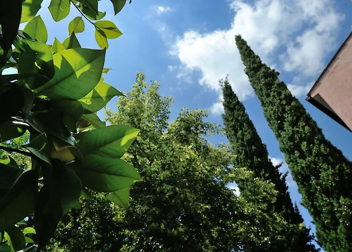 Traditional Istrian Stone House Konukevi 3*