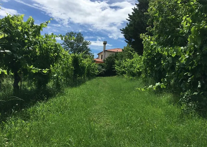 Traditional Istrian Stone House Konukevi