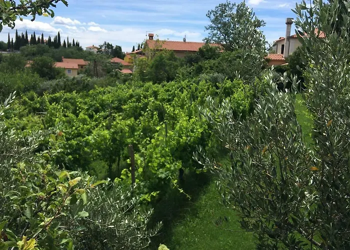 Konukevi Traditional Istrian Stone House